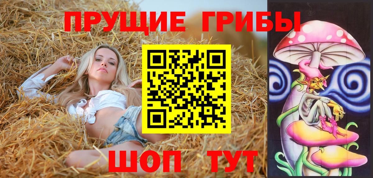 Псилоцибиновые грибы мицелий Бийск