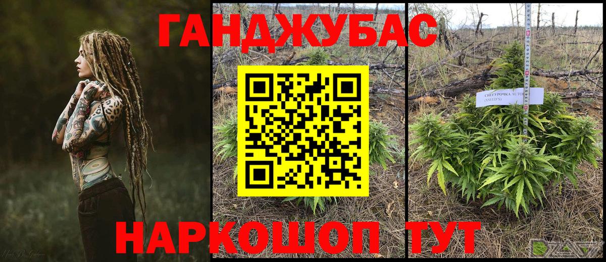 Канабис конопля Бийск